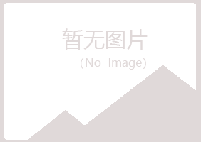 鹤岗南山听白因特网有限公司